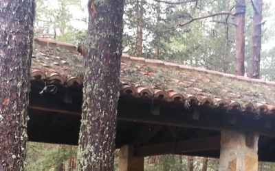 ¡Ya han abierto las inscripciones a los campamentos de verano de primaria!